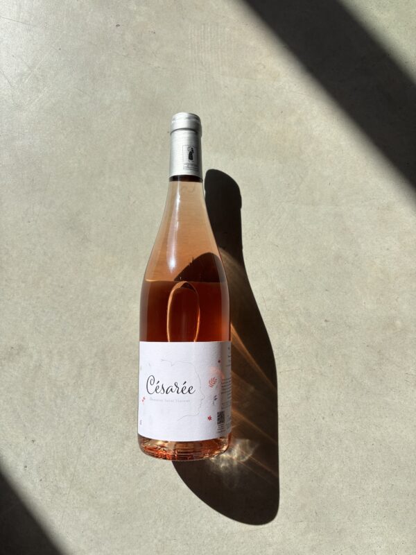 IMG_6806 CESAREE - rosé